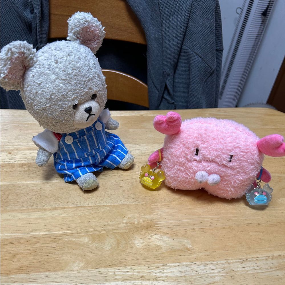 ちょきたんが仲間きたーーーッッ‼️って喜んでるから、見にきたら、お家の人がガチャガチャやってきたんだね❣️
可愛いカニさん🦀
ちょきたんのうえにのせて〜、仲良く📸
手を繋いで帰って行ったよ〜🤭