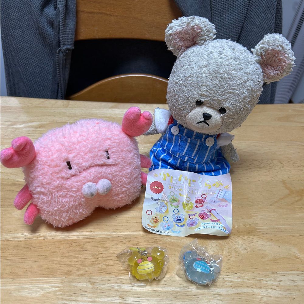ちょきたんが仲間きたーーーッッ‼️って喜んでるから、見にきたら、お家の人がガチャガチャやってきたんだね❣️
可愛いカニさん🦀
ちょきたんのうえにのせて〜、仲良く📸
手を繋いで帰って行ったよ〜🤭
