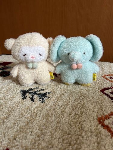 ぱおたんです。ぞうです。
もこと一緒にお家に来た子。
穏やかで、合わせるのが得意なの。