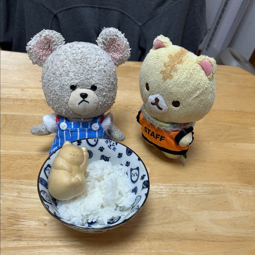 ぴーしゃんの朝ごはんにねこもなか🐱
もなかといっても、鮭茶漬けなの❣️
わぁ〜ホントにねこちゃん🐱
ごはんの上にゴロンと🍚
あっ、にゃんちゃん💦ﾓｼﾞﾓｼﾞ🐻‍❄️
一瞬ドギマギしちゃったけど、鮭茶漬け完成👏
いただきま〜す🥄🐻‍❄️❤️