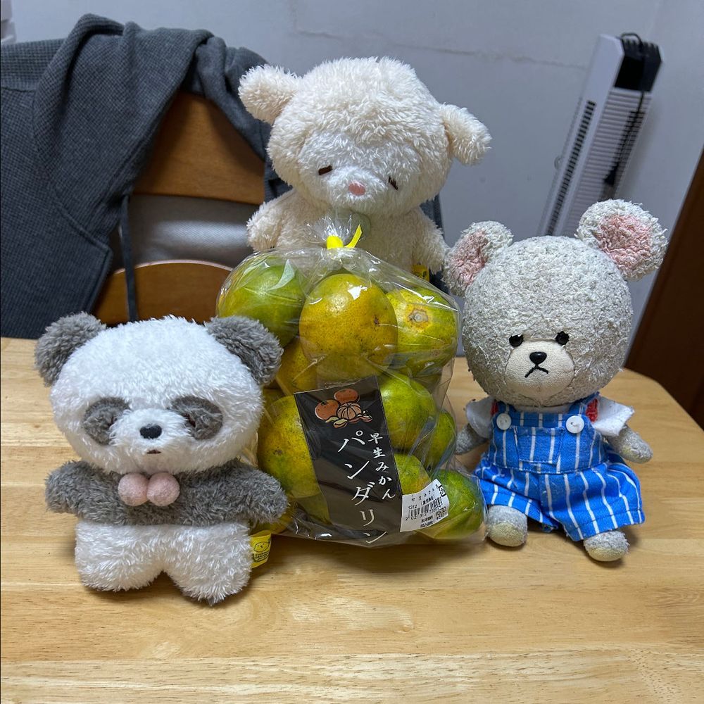 ぱんだたんです。パンダです🐼
ちょっとタモリさんに似てます。
落ち着いてた子です。
もこたち、ぴーしゃんたちの買ってきた荷物にぱんだいりのおみかんを見つけました。お名前書いてあるから、ぱんだたんのです。
みんなで協力して運ぼう✊
わっしょい❗️わっしょい‼️