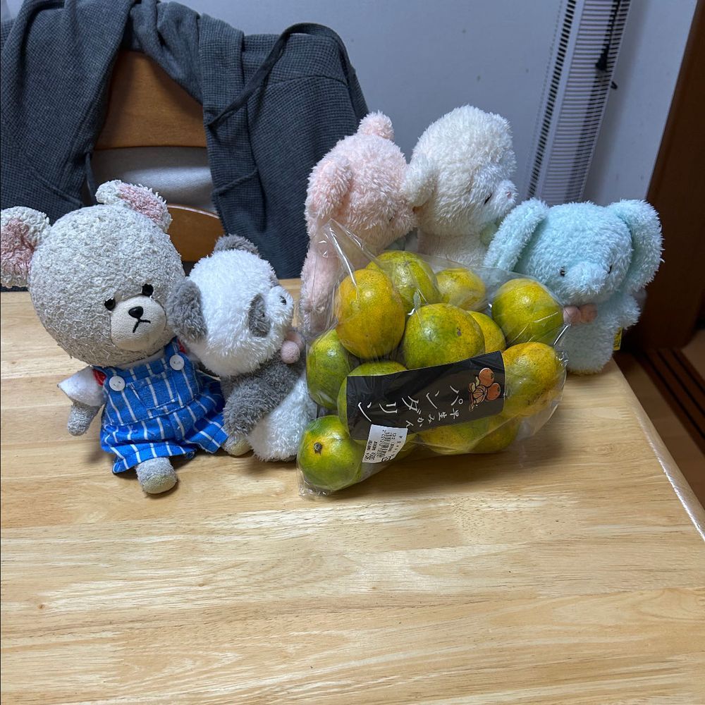 ぱんだたんです。パンダです🐼
ちょっとタモリさんに似てます。
落ち着いてた子です。
もこたち、ぴーしゃんたちの買ってきた荷物にぱんだいりのおみかんを見つけました。お名前書いてあるから、ぱんだたんのです。
みんなで協力して運ぼう✊
わっしょい❗️わっしょい‼️