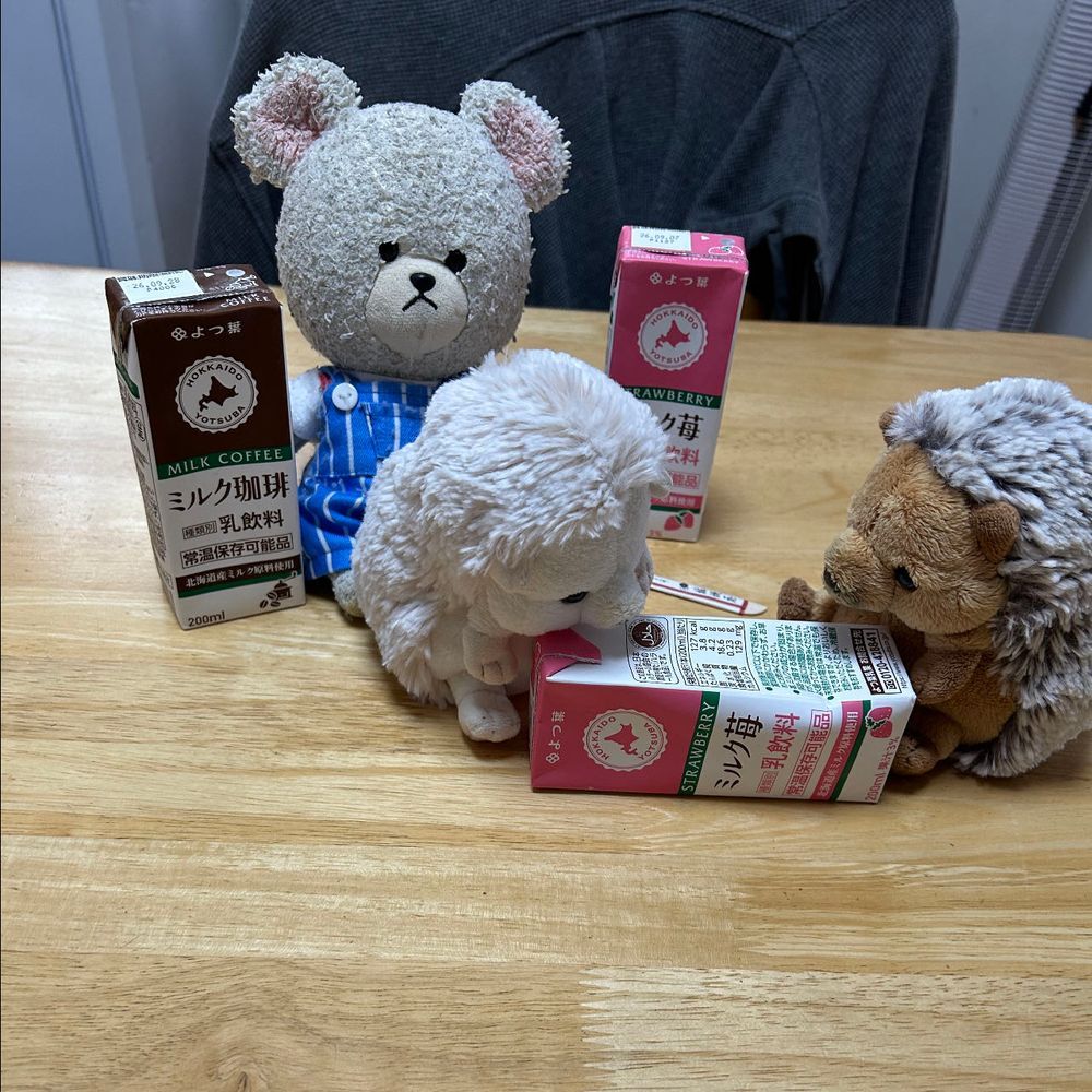 みなさんこんばんは✨
オトナごっこのぴーしゃんです🐻❄️
からあげクン片手にお酒飲んでるごっこ最高です🍷
2枚目
お家の人、白ビール飲んでるよ〜
ビールのクセがキツくないから、フルーティーな感じで飲みやすいって喜んでた🤭
ぴーしゃんはいちごミルクでつまみの金のポテト🍟
味はポテコで、さくさく系のポテト菓子だな😋
4枚目
ちっくんまろんちゃんの取り合いのじかん。
いちごミルク2個あるのに原因はまさかの凹んでるやつがいいって💦
なんだそりゃ🤣
