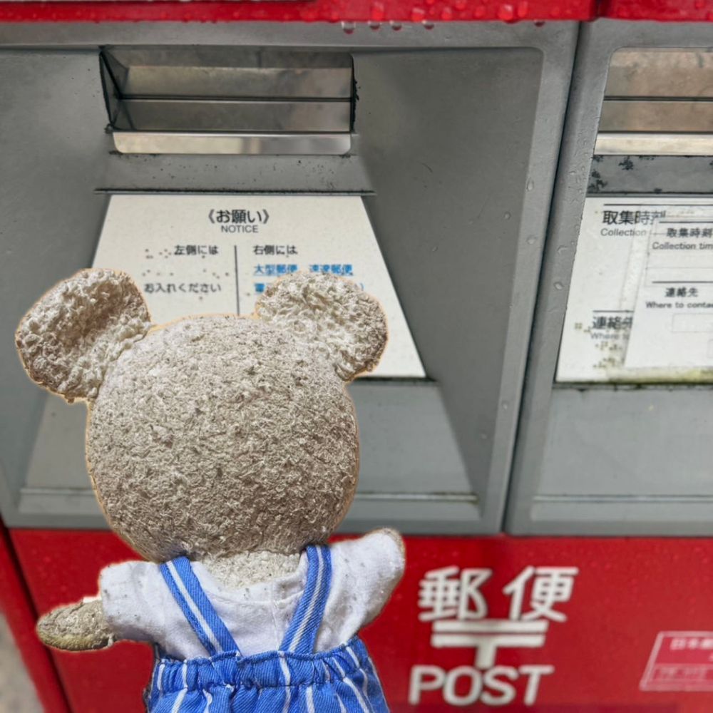 今、ぴーしゃん真剣なの🐻‍❄️
億万長者のくまへの第一歩💴
美味しい😋
準備して〜
チョキチョキ✂️ペタペタ
書き書き✒️
ポストにイン📮