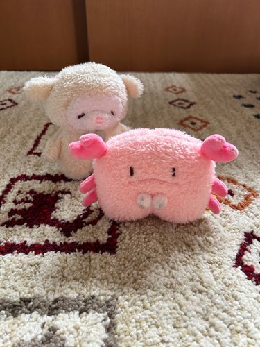 ちょきたんです。かにです🦀
『ちょ〜きったん✂️』って普段はご挨拶します。だけど、興奮すると、『ちょ✂️ちょ✂️ちょ✂️ちょきた〜〜んッッ‼️✂️✂️✂️』っていって自慢のハサミ✂️をたくさんチョキチョキします。おっとり屋さんと荒ぶる一面も併せ持ってます。
ちょきたんが何かを察知しました。
一気に飛び乗った先には…ぴーしゃんとぺくちゃんです。
かにぱん食べようとしてたので、やっつけられました。
ぴーしゃんの供述では、かにぱんが夏休み終えて帰ってきたから、おかえり会をしていたそうです。