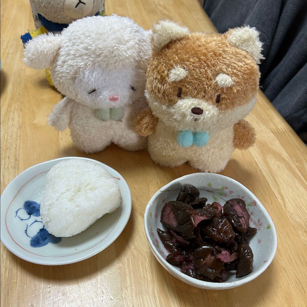 しば漬けだ〜👀
この子はしばたんです。しば犬です🐶
遊ぶの大好き、よく笑う子です。
ぴーしゃんの朝ごはんにしば漬けがありました。
しばたんのお名前が書いてあるので、あのしば漬けはしばたんのです。
よし❗️運ぼう💨