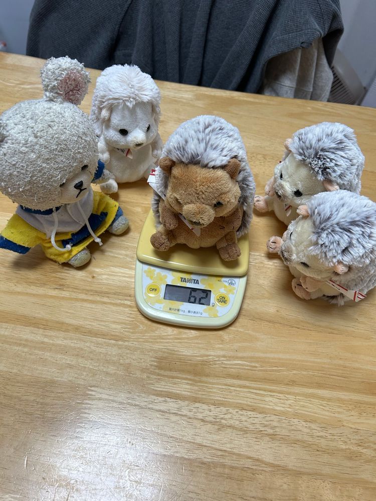 ぱんだちゃんが体重はかってたから、ぴーしゃんも‼️
年季の入ったデジタル計りで明瞭に表示なの〜
ぴーしゃんから…１３４ｇ
体のわりに重い気するのは…
次、ちっくん🦔５８ｇ
まろんちゃん🦔６２ｇ
うん。納得の差👀