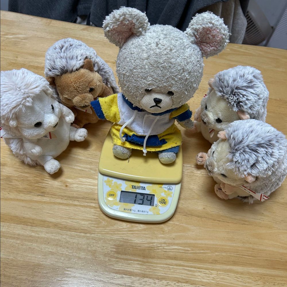 ぱんだちゃんが体重はかってたから、ぴーしゃんも‼️
年季の入ったデジタル計りで明瞭に表示なの〜
ぴーしゃんから…１３４ｇ
体のわりに重い気するのは…
次、ちっくん🦔５８ｇ
まろんちゃん🦔６２ｇ
うん。納得の差👀