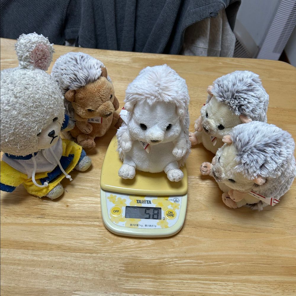ぱんだちゃんが体重はかってたから、ぴーしゃんも‼️
年季の入ったデジタル計りで明瞭に表示なの〜
ぴーしゃんから…１３４ｇ
体のわりに重い気するのは…
次、ちっくん🦔５８ｇ
まろんちゃん🦔６２ｇ
うん。納得の差👀