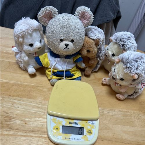 ぱんだちゃんが体重はかってたから、ぴーしゃんも‼️
年季の入ったデジタル計りで明瞭に表示なの〜
ぴーしゃんから…１３４ｇ
体のわりに重い気するのは…
次、ちっくん🦔５８ｇ
まろんちゃん🦔６２ｇ
うん。納得の差👀