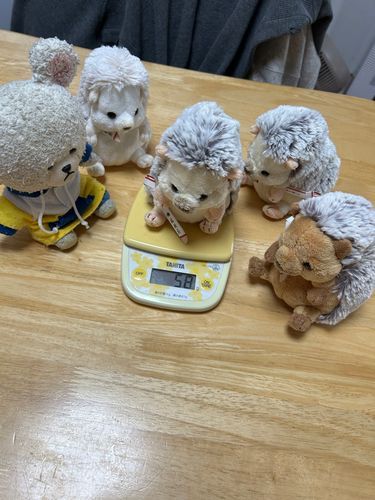 続いて〜
うにちゃん🦔５８ｇちっくんとおんなじね❗️
ぼんちゃん🦔５９ｇ
やっぱりナンバーワンはまろんちゃんだね🤭
さて、ぺくちゃんだよ〜
えっ？ぺっくるずで乗ったら分からないよ💦
ぺくちゃん１０７ｇ👀
このボディサイズで❓❓
ぴーしゃん、ぺくちゃんより軽いつもりでいたよ？ちょっとショック😨
