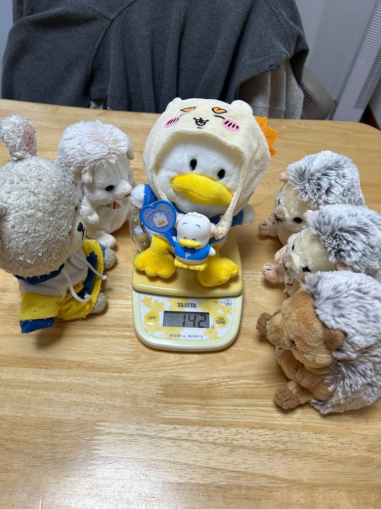 続いて〜
うにちゃん🦔５８ｇちっくんとおんなじね❗️
ぼんちゃん🦔５９ｇ
やっぱりナンバーワンはまろんちゃんだね🤭
さて、ぺくちゃんだよ〜
えっ？ぺっくるずで乗ったら分からないよ💦
ぺくちゃん１０７ｇ👀
このボディサイズで❓❓
ぴーしゃん、ぺくちゃんより軽いつもりでいたよ？ちょっとショック😨