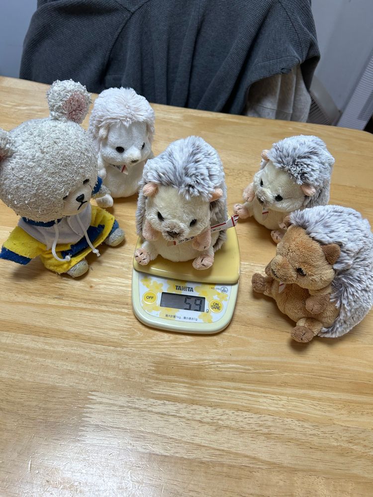 続いて〜
うにちゃん🦔５８ｇちっくんとおんなじね❗️
ぼんちゃん🦔５９ｇ
やっぱりナンバーワンはまろんちゃんだね🤭
さて、ぺくちゃんだよ〜
えっ？ぺっくるずで乗ったら分からないよ💦
ぺくちゃん１０７ｇ👀
このボディサイズで❓❓
ぴーしゃん、ぺくちゃんより軽いつもりでいたよ？ちょっとショック😨