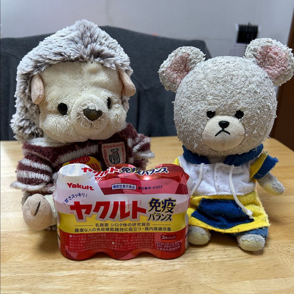 産直さんま届いた🐟✨
昨夜、早速食べたんだ〜🥢🐻‍❄️
ヤクルトから新商品出てたの👀❣️
免疫バランス❓飲むの今じゃね？🤩
これ飲んで風邪知らず🎶
はりーちゃん、乾杯🥂
あ〜違う…なんだけ…
弥栄だ❗️
🦔🐻‍❄️いやさかーーーッッ‼️🤣
豆知識🐻‍❄️💭弥栄とは「ますます栄えること」「末永く繁栄すること」を願う日本古来の祝福の言葉🇯🇵
素敵だ💓いっぱい使おう✨
梨とりんごなの❣️二十世紀梨とシナノドルチェだって〜たぶんどっちも初めて食べる🐻‍❄️🎶