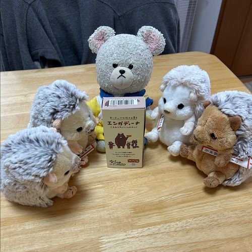 エンガディーナって美味しそうなお菓子買ったの👛
くるみとキャラメルのサンドって絶対的な🤤
オープン✨
くまさんの包みで可愛い😍
アレ？どこかで見たような…
クルミッ子みたいだ👀✨
お味も美味しい😋

みてーーーッッ‼️
ぴーしゃんもポポー🐻‍❄️🎶