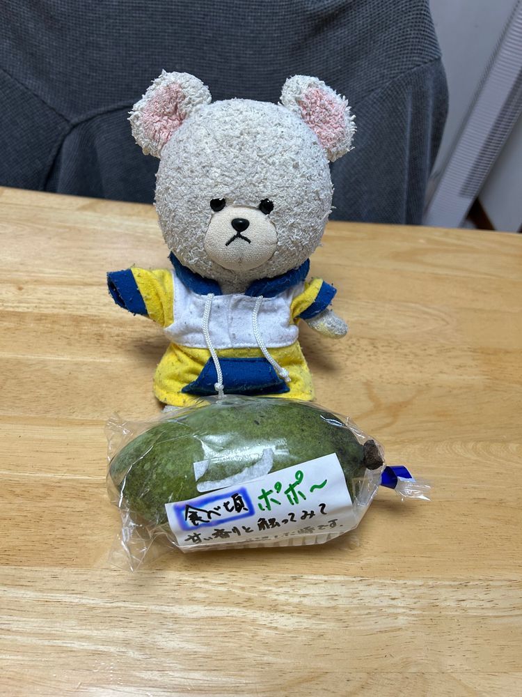 エンガディーナって美味しそうなお菓子買ったの👛
くるみとキャラメルのサンドって絶対的な🤤
オープン✨
くまさんの包みで可愛い😍
アレ？どこかで見たような…
クルミッ子みたいだ👀✨
お味も美味しい😋

みてーーーッッ‼️
ぴーしゃんもポポー🐻‍❄️🎶