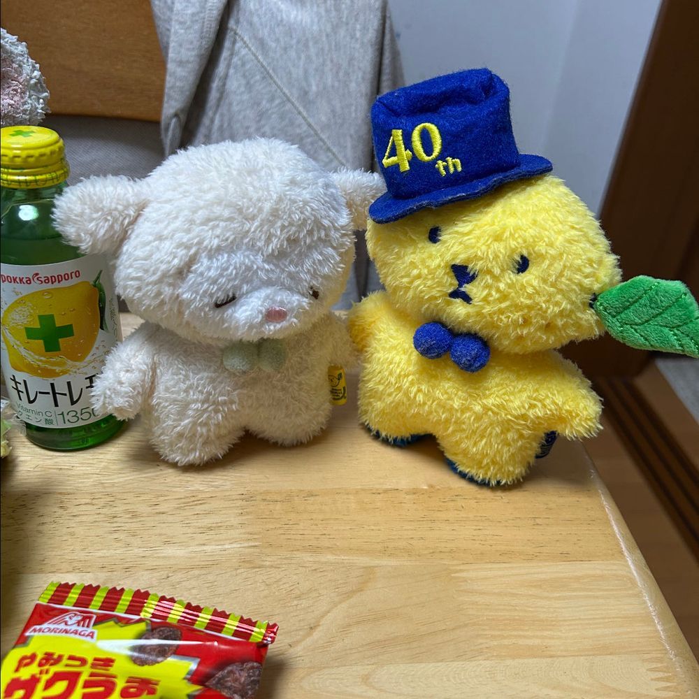 ぴーしゃんに
もこた〜ん、れもた〜んって呼ばれました。
ぴーしゃんの手にキレートレモン🍋
あっ🫢
もことしたことが、うっかり見落としていました。
この子はれもたん、れもんくまです。
帽子をかぶってオシャレです。
レモとお名前が書いてあるのでれもたんのです。
👀‼️
チョコフレークバーだ✨👀
お〜い、こふた〜ん‼️
コフとお名前が書いてあるので、こふたんのです。
よし✨運ぼう✊
よいしょ❗️こらしょ‼️