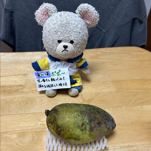 ポポーが、熟した✨
部分的にちょっといきすぎちゃったのは🙄
昨日、緊急地震速報でＭ9.9って見た時、ぴーしゃんポポー食わずじまいかと心残りになりそうだったから、早々に昨日剥いたよ🔪
けっこう甘い匂いが広がるんだよ〜南国系フルーツの様な？
森のカスタードなんて言われてる幻の果物だけど、ん〜マンゴーの親戚みたいな…
けっこう濃厚な味わいだね🥄🐻‍❄️