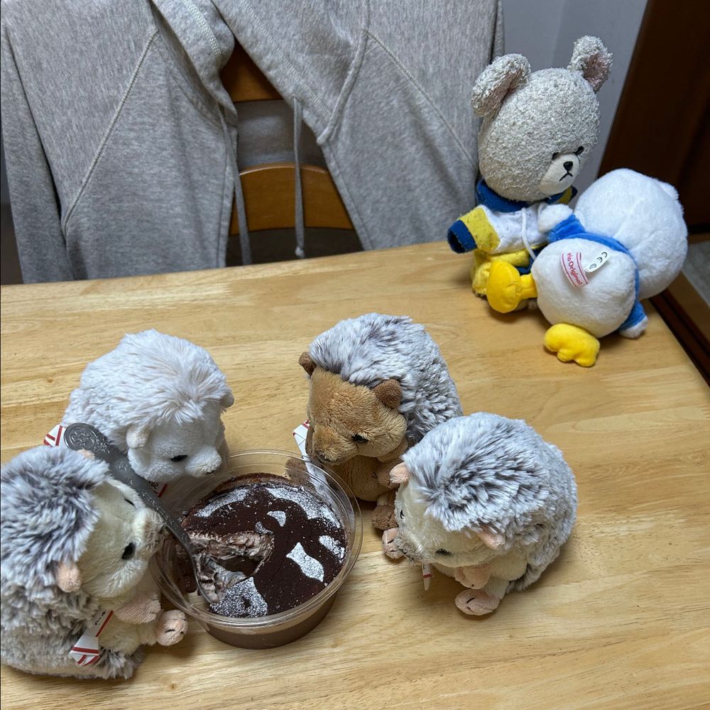 おやつに大きなチョコプリンなの🍮
みんなで分けっこしてねってお家の人が🥄🐻‍❄️🦔🦔🦔🦔
難易度高め？
５等分してスプーン回そうかって話してると、後ろを走り去るぺくちゃん💨
あぁ❗️転んだ👀💦
うぅぅぅぅぅ😭
あーあ、泣いちゃった💦
ぴーしゃんはヨシヨシ👋
ちっくんから分けっこスタート🥄🦔
…どうなるか…