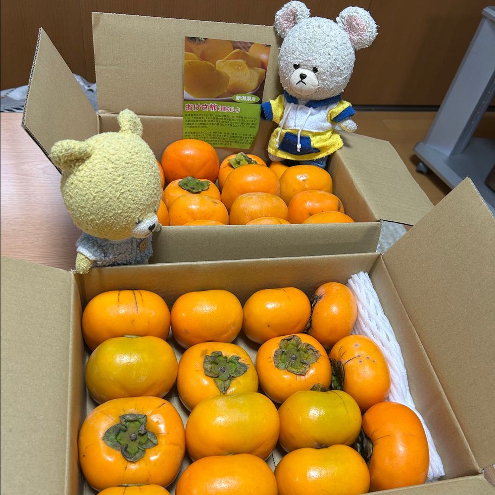 予約しておいたおけさ柿が来た📦
渋柿を脱渋したやつだから、干し柿の味がするんだよね🤤それで、柿の食感💕
この前、ばあちゃんチで収穫してきた落花生🥜
今干してるんだ〜乾いたら、バタピーかな🤤
ぴーしゃん、大好物アスパラガスなんだけど、初めてホワイトアスパラガスの生のやつ見つけたの❣️味はね、なんかね、やっぱりアスパラガスだった🤣
べか菜?なんだそれ👀✨
初めて見る野菜だよ〜