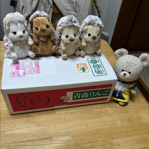 昨日のリンゴはね、クラファンで8月に食べたりんごぜりぃとおんなじ福一農園さんのシナノスイートなの🍎箱開けたら、とってもいいにおいするし、ピカピカつやつやなの✨
箱開ける前から、りんごの匂いを察知して、ちくまろうにぼんが🦔🦔🦔🦔
📦開けたら、目の輝きが✨👀
ＪＡに寄って卵を買いに🥚のはずがいろいろと😂パピコにキャラメルラテってあったの知らなかったー❣️きみまろこってさつまいもなんだって🍠白っ‼️
４枚目、ミニーちゃんがミーのドレッシング持ってたから、ぴーしゃん欲かったんだけど、やっと見つけたよ👛はやくサラダ食べたいね🥗🥄🐻‍❄️
