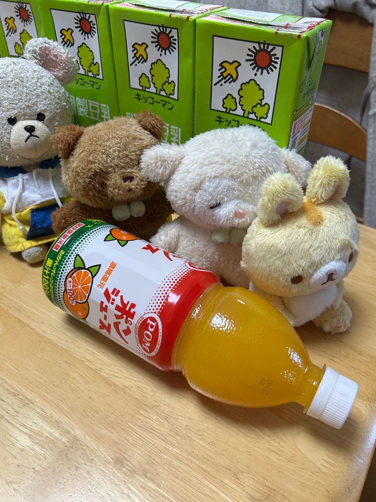 ぴーしゃんがお飲み物をたくさん買ってきました。
ポンジュース🍊👀‼️
この子はぽんたん、たぬきです。
ぽんたんの仲間のうさまるたん、うさぎです。たっとんのつもりで暮らしていますが、たっとんじゃありません。
でも問題ありません。
ポンと名前が書いてあるので、ぽんたんのです。
ぴーしゃんに言ったら、くると思って買ってきたよと言われました。お名前書いてあるの、なんだか知ってるみたいです。
よし❗️運ぼう✨
そいや〜❗️そいや〜‼️