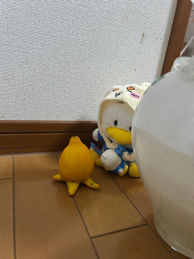 わ、わ、わ、わ、わ‼️
事件だ〜💦
ぺくちゃん、それ食べられないよ〜💦💦
😱😱😱

👀‼️
あれ？何してるの？
落ちちゃったみたいだから、寂しくないように一緒にいてあげたんだって❣️
優しい😭ぴーしゃん感動だ🥹

ぺくちゃん連れて、お家の人に報告してきたら、あっちから声が…
1.2..1.2..
わぁ〜‼️
ちくまろうにぼんが何かしてる💦
えっ？仲良く行進中？おんなじくらいの大きさだから、仲間に入れてあげたんだって〜
はぁ〜食いしん坊ばかりだから、いらん心配募るけど、みんなけっこう無事なのね🥰