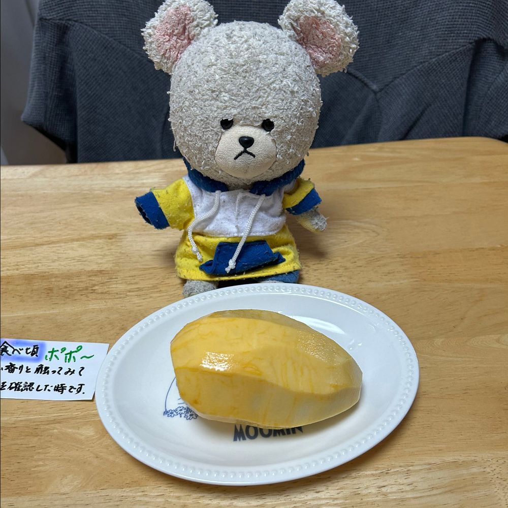 ポポーが、熟した✨
部分的にちょっといきすぎちゃったのは🙄
昨日、緊急地震速報でＭ9.9って見た時、ぴーしゃんポポー食わずじまいかと心残りになりそうだったから、早々に昨日剥いたよ🔪
けっこう甘い匂いが広がるんだよ〜南国系フルーツの様な？
森のカスタードなんて言われてる幻の果物だけど、ん〜マンゴーの親戚みたいな…
けっこう濃厚な味わいだね🥄🐻‍❄️