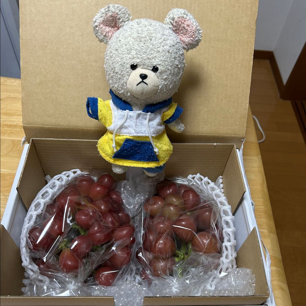 セブンイレブン パトロール🚙
美味しそうなアイスや抹茶のパンとかゲット〜❣️
そして、きっと、もこたんは反応するであろうキレートレモン🍋
うふふ(๑・̑◡・̑๑)
今年のクラファン最終品🍇
マイハートって品種のぶどうなの✨
ぶどうの粒がハート型❤️種無しで美味しいの😋
ぴーしゃんチのばあちゃんとこに植えてあるさつまいも🍠ちょっと収穫イマイチで…思うほどは獲れなかった〜
さつまいも買う生活😭
だからこそ、いろんな品種を🍠👛
栗かぐや、あまはづき初めましてだ❤️
黄色の人参👀✨サラダにしたい❣️