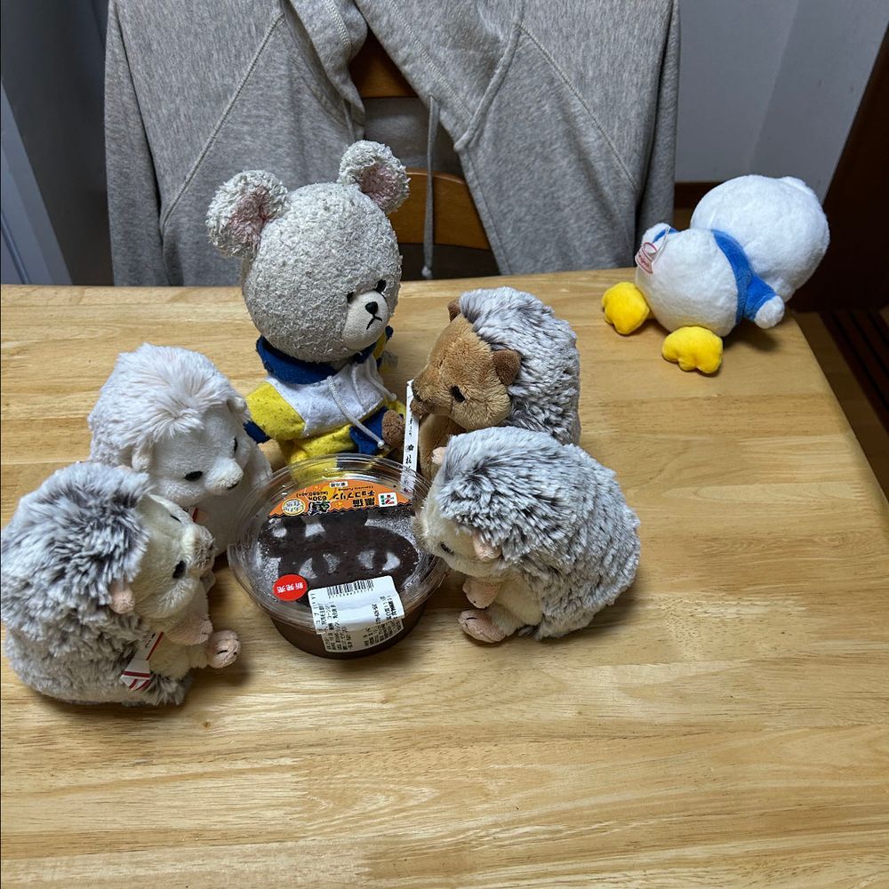 おやつに大きなチョコプリンなの🍮
みんなで分けっこしてねってお家の人が🥄🐻‍❄️🦔🦔🦔🦔
難易度高め？
５等分してスプーン回そうかって話してると、後ろを走り去るぺくちゃん💨
あぁ❗️転んだ👀💦
うぅぅぅぅぅ😭
あーあ、泣いちゃった💦
ぴーしゃんはヨシヨシ👋
ちっくんから分けっこスタート🥄🦔
…どうなるか…