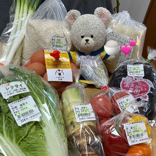 いつものＪＡにお買い物へ🚙
今日もいろいろゲットなの👛
レタサイだって🤭
レタスと白菜の真ん中なのかな？
たけのこいもの季節きた✨けんちん汁にしよう😋
ぴーしゃん、新米も、ゲットしたから、この卵で、卵かけご飯楽しむんだ🎶
２枚目
ここのＪＡで売ってるコーヒーなの☕️
モカゲイシャ✨
エチオピアを起源とする希少な品種「ゲイシャ種」を使った、モカ（エチオピア産コーヒーの総称）のこと…というちょっとご褒美的な存在👀✨
さっそく…☕️🐻‍❄️
美味しい😋細かいことはよくわからないけど、飲みやすいし、香りも👍
サボりたい日はモスだよね🍔
定番のモス野菜バーガーで大満足✨
シェイクは混ぜる芋の🍠うっとり😍