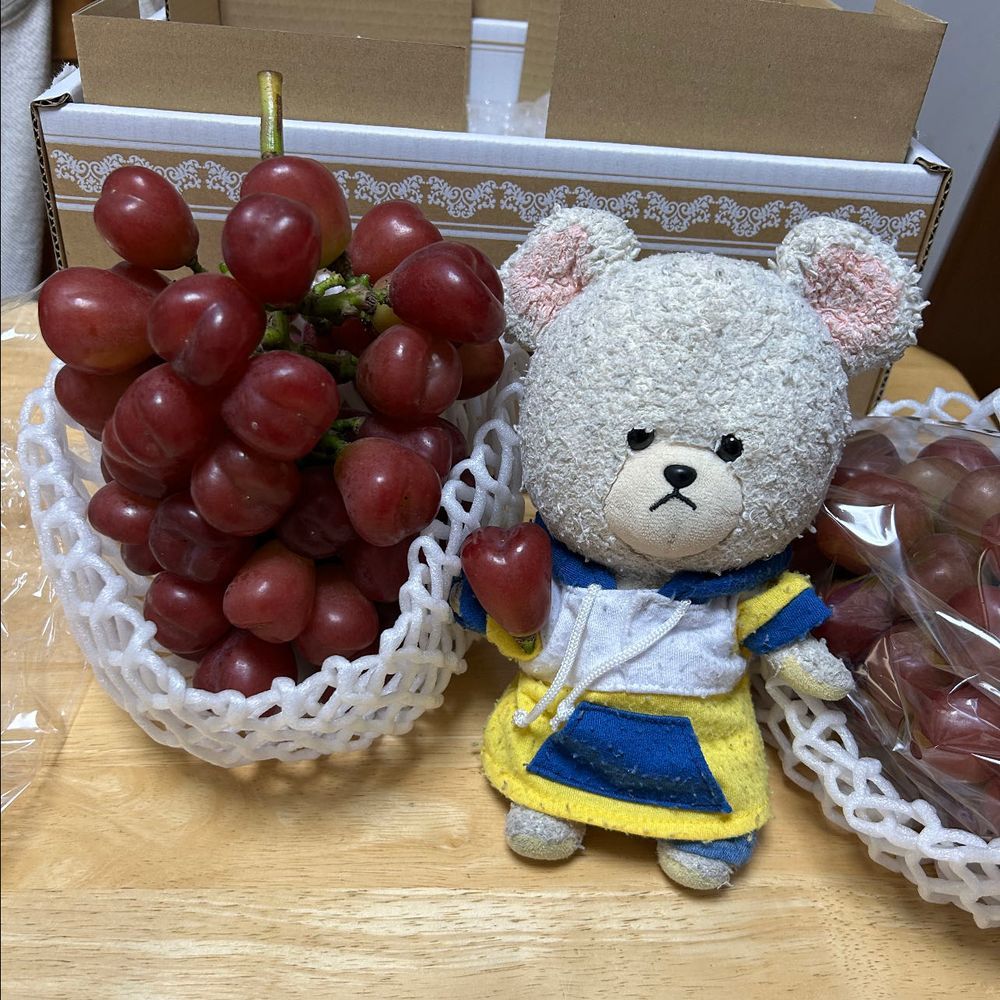 セブンイレブン パトロール🚙
美味しそうなアイスや抹茶のパンとかゲット〜❣️
そして、きっと、もこたんは反応するであろうキレートレモン🍋
うふふ(๑・̑◡・̑๑)
今年のクラファン最終品🍇
マイハートって品種のぶどうなの✨
ぶどうの粒がハート型❤️種無しで美味しいの😋
ぴーしゃんチのばあちゃんとこに植えてあるさつまいも🍠ちょっと収穫イマイチで…思うほどは獲れなかった〜
さつまいも買う生活😭
だからこそ、いろんな品種を🍠👛
栗かぐや、あまはづき初めましてだ❤️
黄色の人参👀✨サラダにしたい❣️