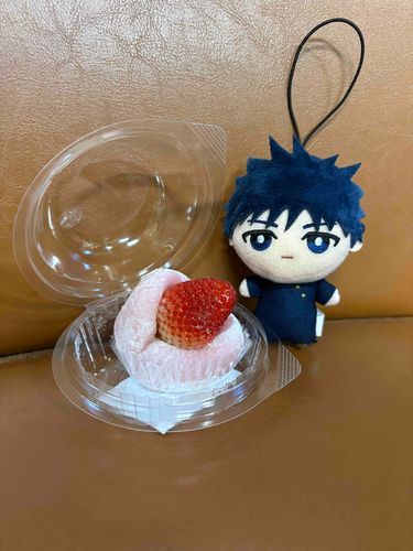 ちなみにもう一人新入り恵も来たよー！(やっぱ激かわやな)
あとせっかくなので誕生日迎えたので、長年一緒に過ごしてるクッタクタのぬい見せようかな…🤔💭