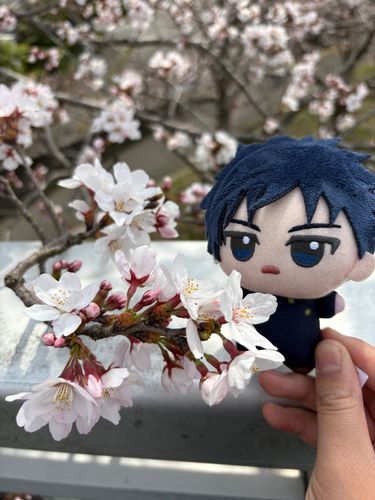 そろそろ桜だね🌸(お散歩)