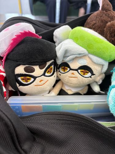 シオカラーズぬいの会話🗣️

💚「あ、アオリちゃん！やっぱ寝てたやろ！電車乗るで〜」
🩷「うわ！？ここどこなの！？初めて見る！てかなんでこんなに主と同じ服の人がおるの！？いつもは自転車じゃなかったの？」
💚「いや今日は天気で自転車じゃなくて電車帰りで行くって言うてたでしょ？あと同じ服なのは制服！」
🩷「あーそういうことか！普段から見た事なくてびっくりする光景だったw」(ちなみに2人とも初めての電車で、学校にこっそり連れてきました。連れてくるのは2回目です。)