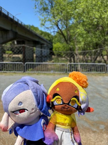 この2人も散歩に連れてきた✌️