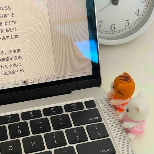 ろんぶんしっぴつのおてつだい。
かたかたのおと、すき！

きょはパヤよりもちちゃいこたちにもてつだってもらたよ。
むずかしの、たくさん…o̴̶̷᷄⩊o̴̶̷᷄
あかでみあで、いきのこるの、たいへんなんだて！

ちなみにね、パヤたちはおすわりしたとき、まっくぶくえあのたかさにぴったしなんだ！
でもがめんとちかいから、ぶるらいとにきおつけきゃだようー