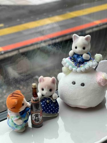 きょは にんげんの けんきゅ ほーこくかい なんだ そです。ぱやは おるすばん。
しゅうりょおごの のみかいにむけて きぶん るんるん🍶´- あー！みんなは のんじゃ だめぇ！