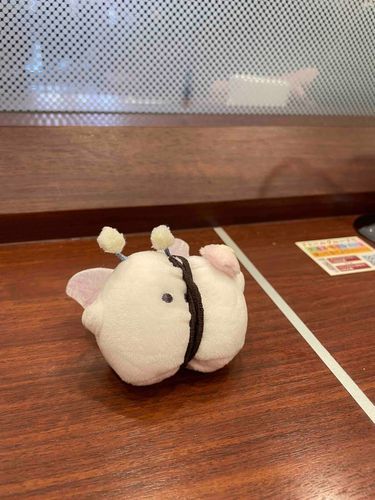 ぎゅっ てしばられちゃた ふぇありーぬ
「さわりごこち」 が いいんだて！
かわいそに みえるけど ほんにんは よろこんでいる