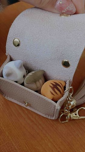 だいそで かった みにみにの ばっぐ👜
ぱやたち すしづめ じょおたい〜🌀