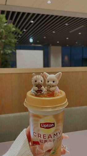 てでぃべあ🧸 ぼくたちに ぴたし！なのෆ‪
この こうちゃも おいしおいし なの！