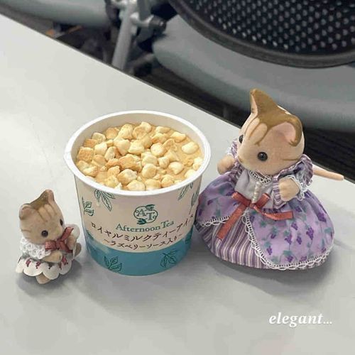 𝒆𝒍𝒆𝒈𝒂𝒏𝒕なしまいたちʚ🎀ɞ
このあいすも びすけと のっかてて おいしかったの🍨