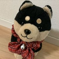 ココア❤️