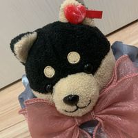 ココア❤️