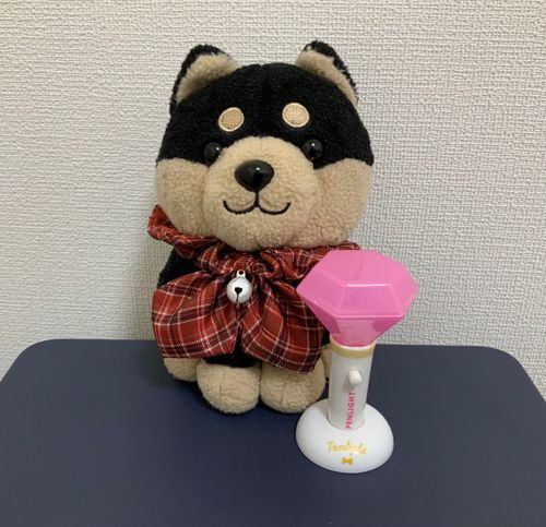 ボクはアイドルになる！！いつかキラキラのお洋服着て踊るんだ！みんな応援してね！