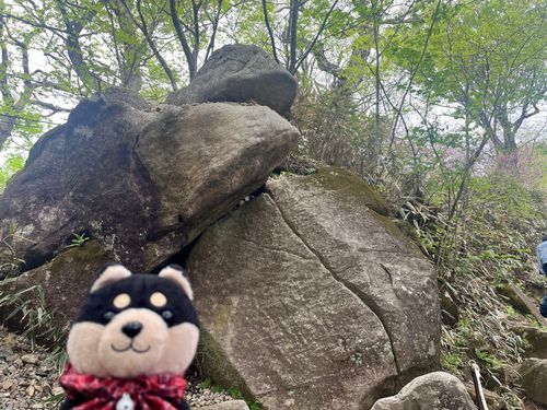 筑波山に行ったよ！ガマ石？ガマ岩？どっちだったか忘れたけどそれだよーん！後でもう一枚載っける！