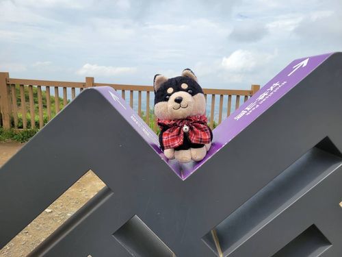 人生山あり谷あり…ボクはいつでも山にいるべきだ。(キリッ)
写真では谷(？)の場所らへんにいるけど