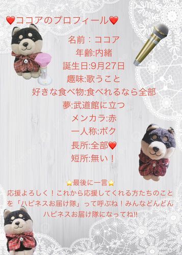 ボクのプロフィールだよ！ハピネスお届け隊予備軍のみんな！読んでね！