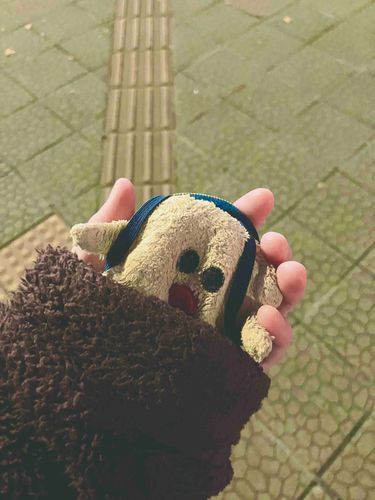 ぴきち、風邪ひくなよ（ゼフ口調）
［•ө•］寒
