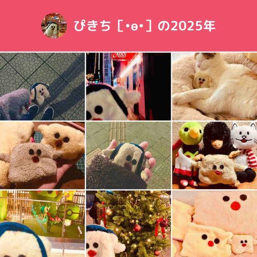 いいね&コメ感謝
来年もぴきちをよろしくです
［•ө•］つ💖
